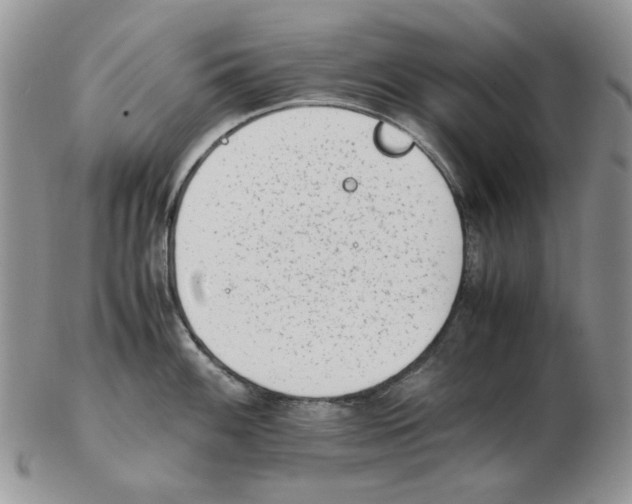 X0000102761100200809151008