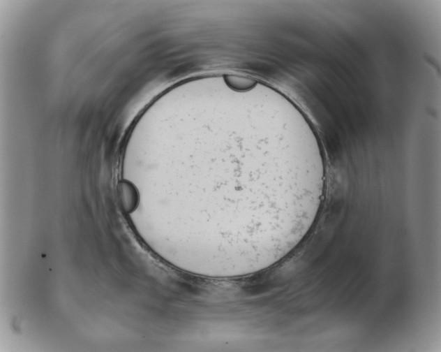 X0000102761101200809151008