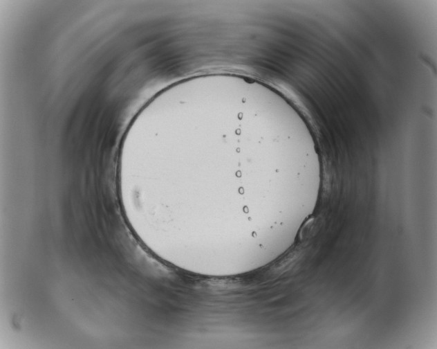 X0000102761102200809151008