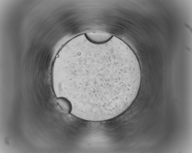 X0000102761104200809151008