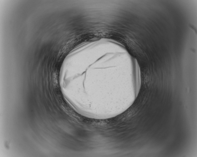 X0000102761106200809151007