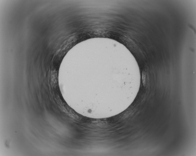 X0000102761107200809151007