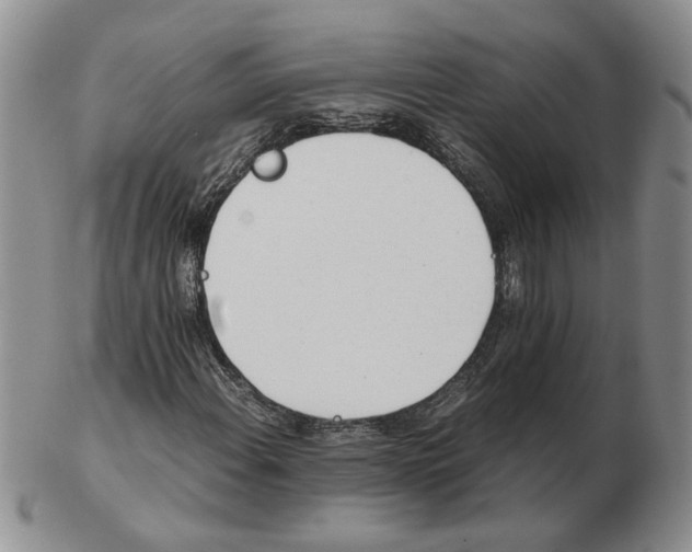 X0000102761108200809151007