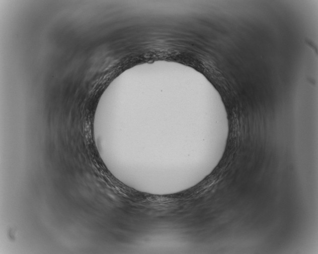 X0000102761109200809151007