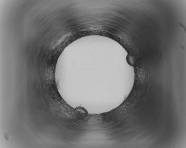 X0000102761110200809151007