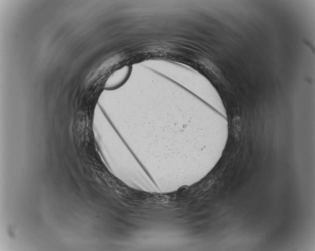 X0000102761111200809151008