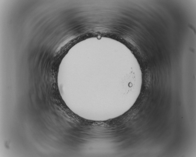 X0000102761112200809151008