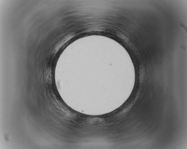 X0000102761113200809151008