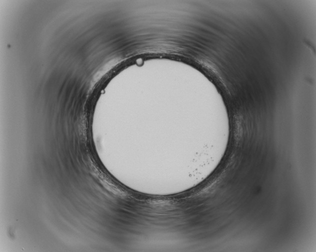 X0000102761114200809151008