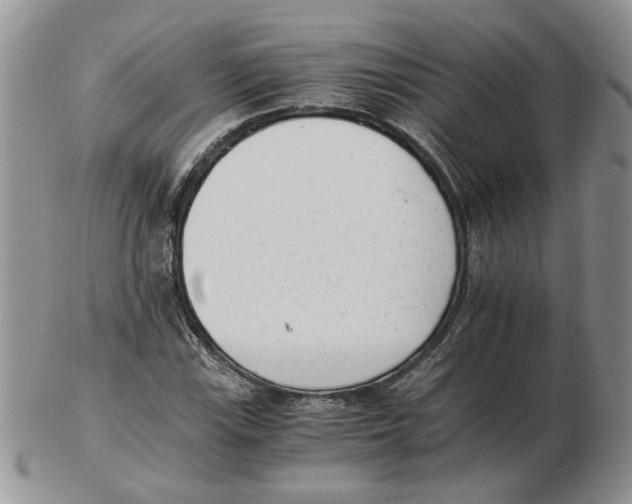 X0000102761115200809151008