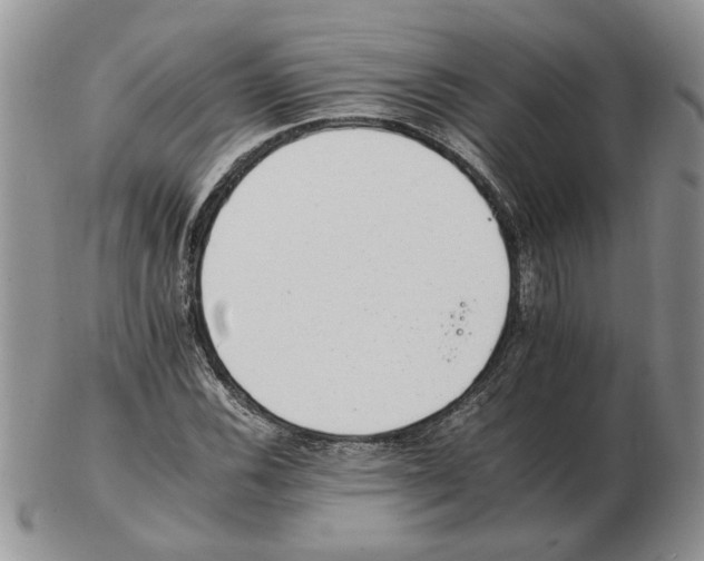 X0000102761116200809151008