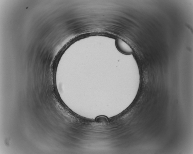 X0000102761118200809151008