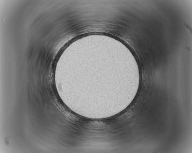 X0000102761119200809151008