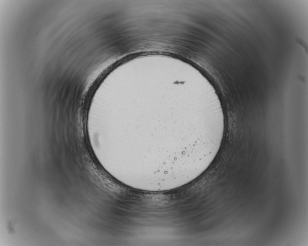 X0000102761120200809151008