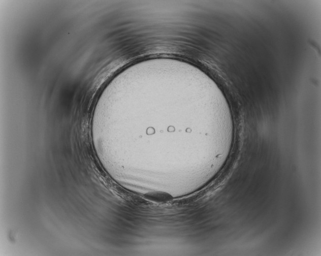 X0000102761121200809151008