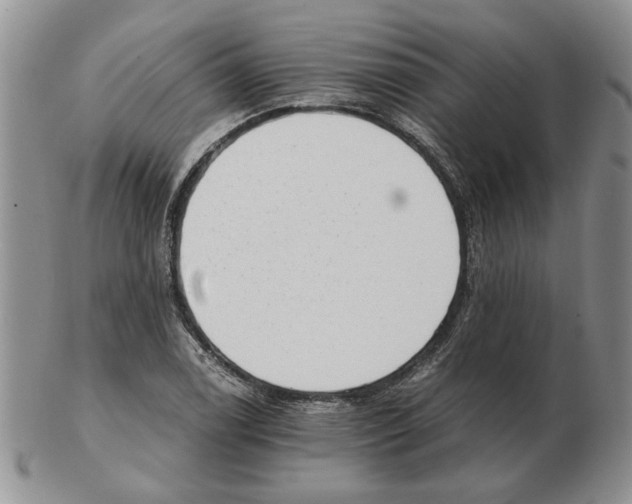 X0000102761122200809151008