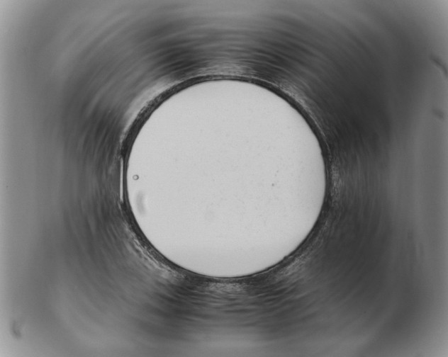 X0000102761123200809151008