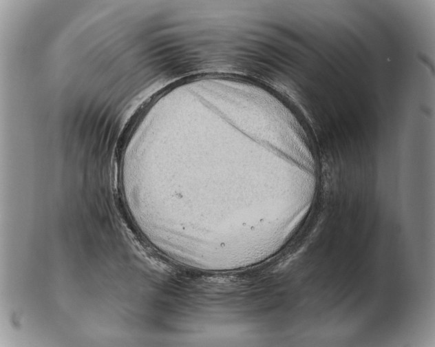 X0000102761125200809151008