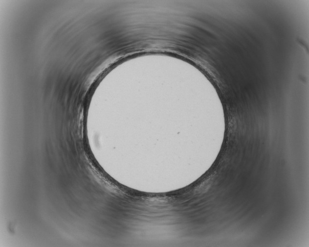 X0000102761126200809151008