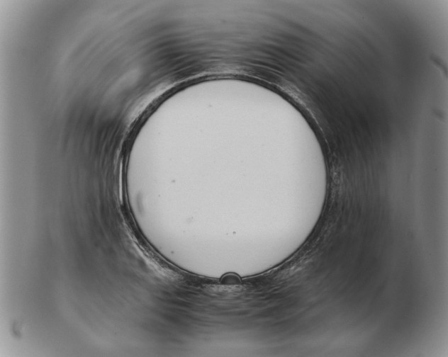 X0000102761127200809151008