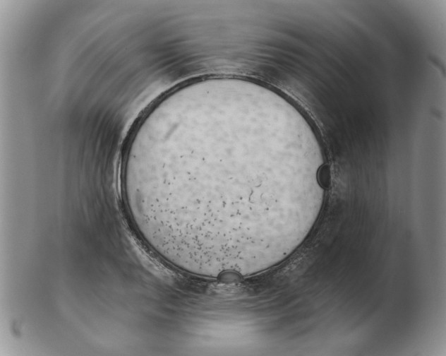 X0000102761128200809151008