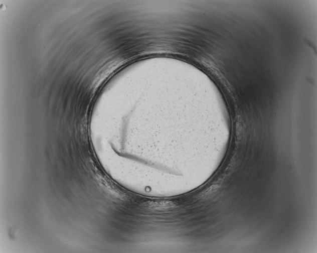 X0000102761129200809151008