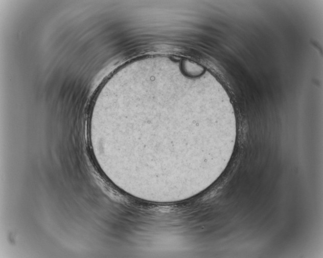 X0000102761130200809151008