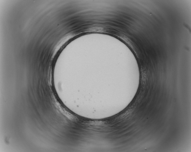 X0000102761131200809151008