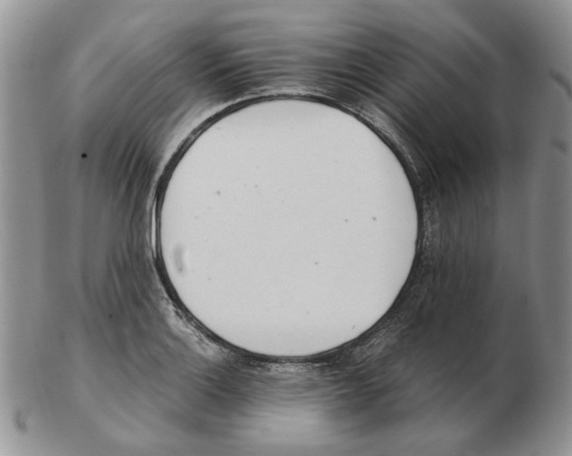 X0000102761132200809151008