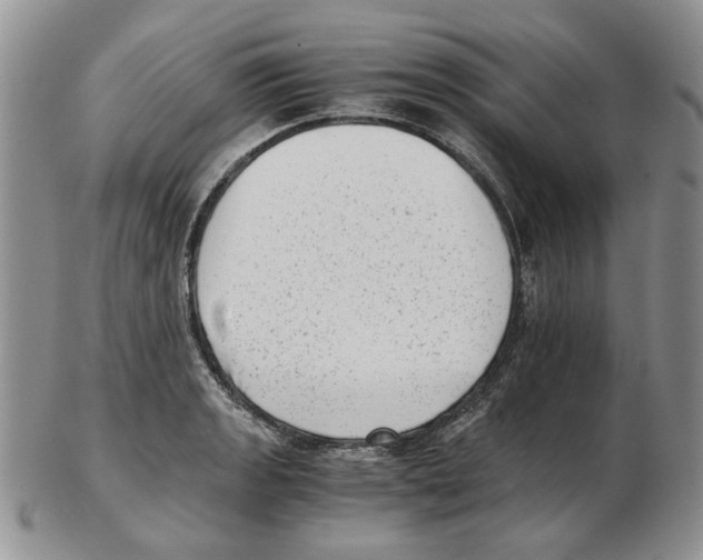 X0000102761133200809151008