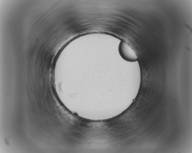 X0000102761134200809151008