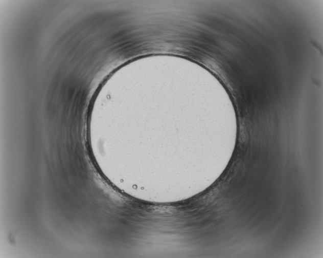 X0000102761136200809151008