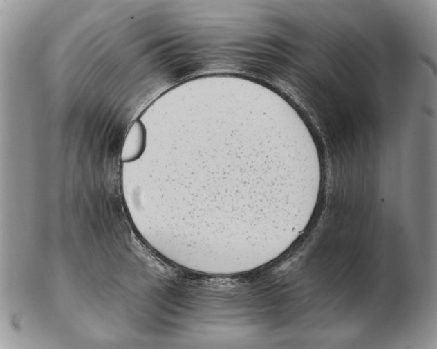 X0000102761137200809151008