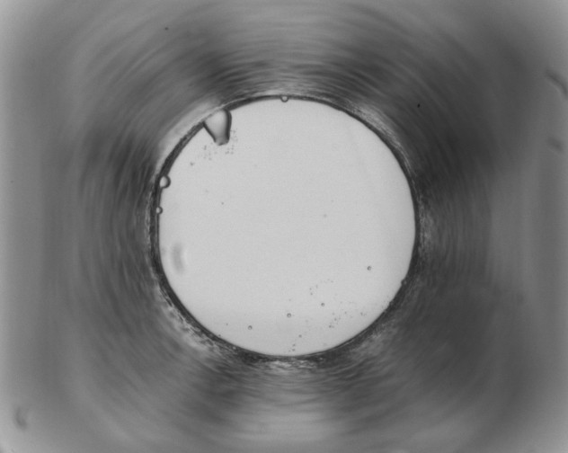 X0000102761138200809151008