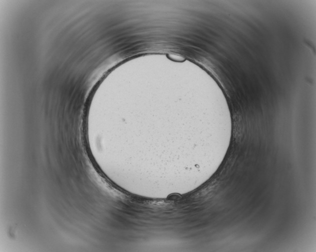 X0000102761139200809151008