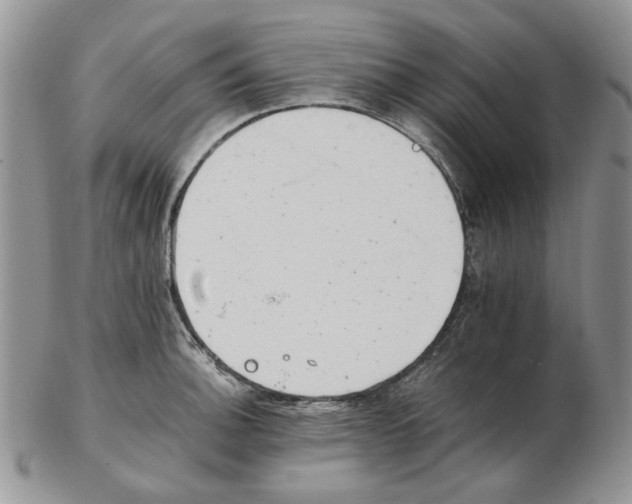 X0000102761140200809151008