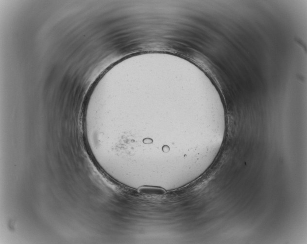 X0000102761141200809151008