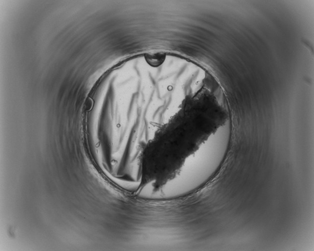 X0000102761142200809151008