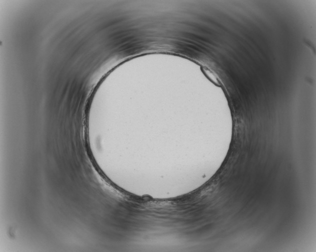 X0000102761143200809151008