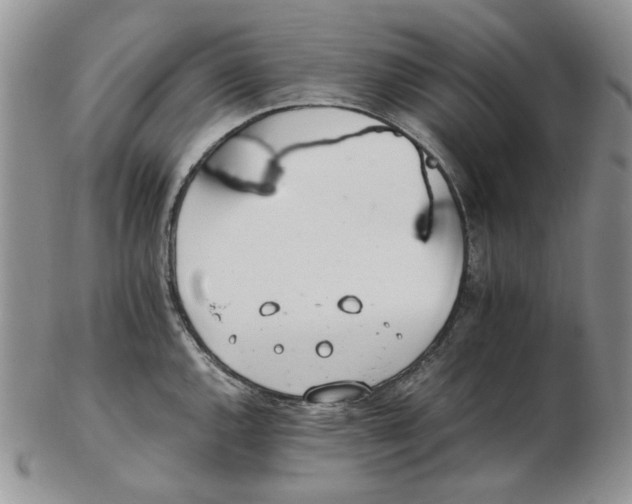 X0000102761144200809151008