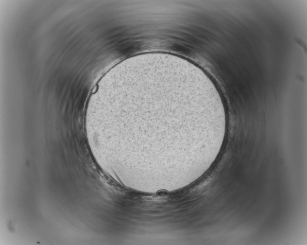 X0000102761145200809151008