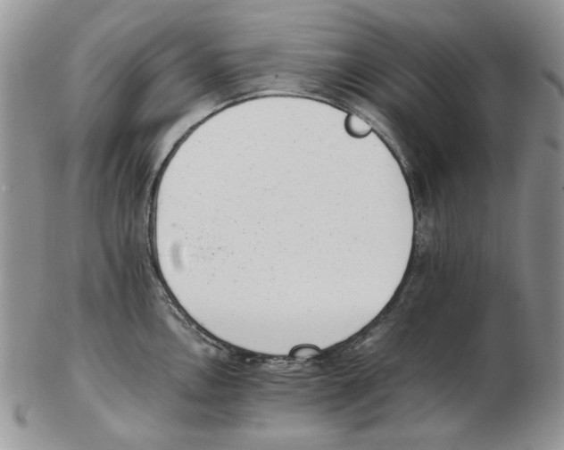 X0000102761146200809151008