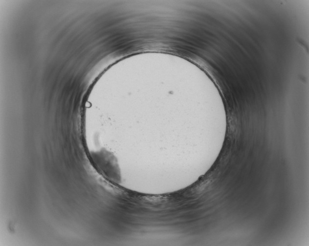 X0000102761147200809151008