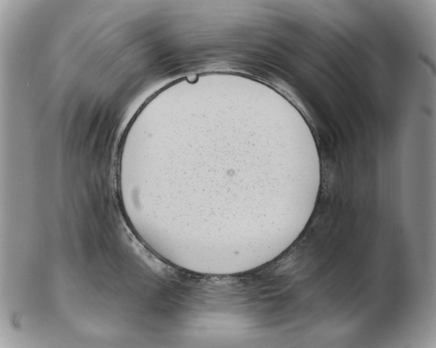 X0000102761148200809151008