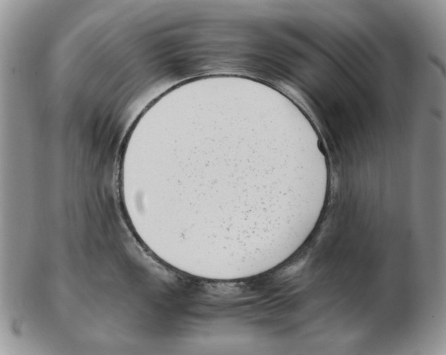 X0000102761149200809151008