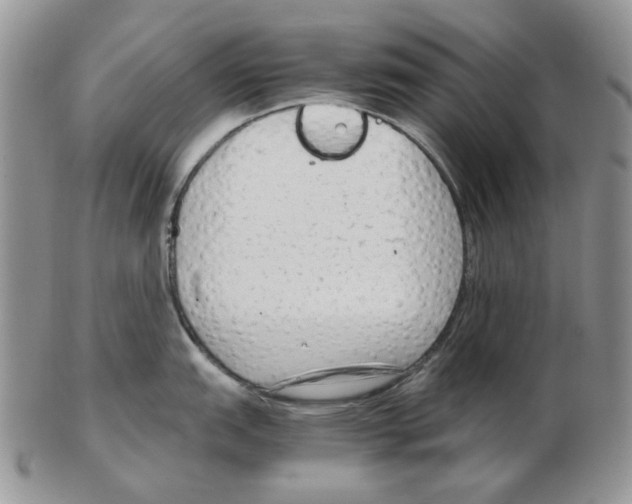 X0000102761151200809151008