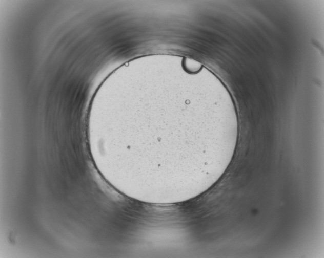 X0000102761152200809151008