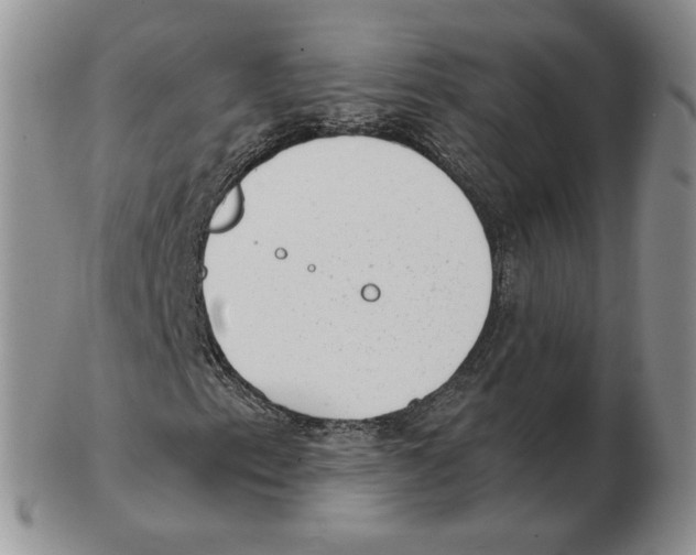 X0000102761153200809151007