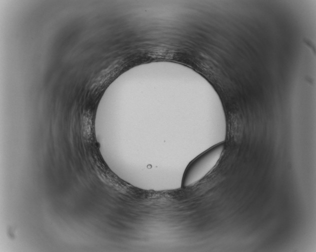 X0000102761154200809151007