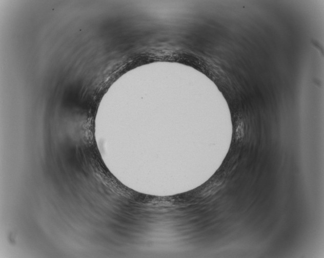 X0000102761156200809151007